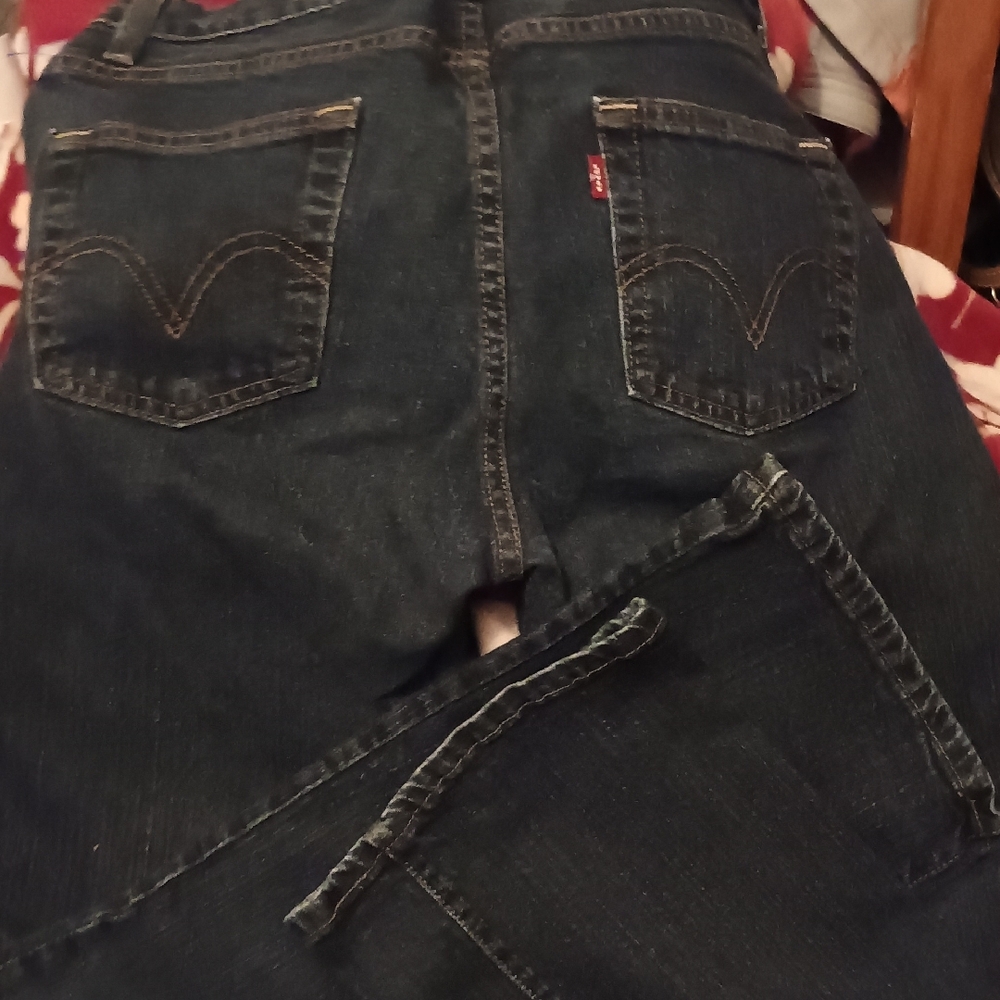 Levi's Women's Blue Jeans